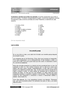 Versión PDF - Net Languages