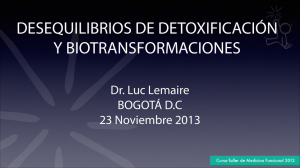 Dr. Luc Lemaire BOGOTÁ DC 23 Noviembre 2013