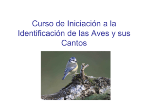 Curso de Iniciación a la Identificación de las Aves y sus Cantos