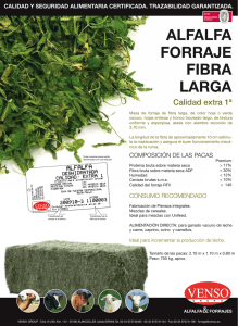106 Alfalfa Forraje Fibra Larga