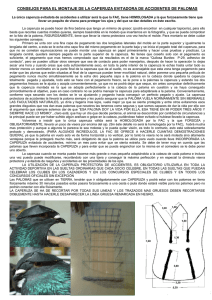 consejos para el montaje del casco protector de palomas