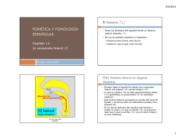 Consonante Alveolar Fricativa Sorda