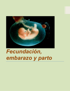 Fecundación, embarazo y parto