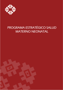 Programas Estratégicos - Salud Materno Neonatal