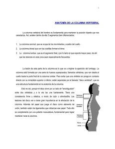 Anatomia columna vertebral