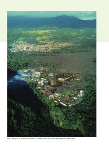 Planta industrial de procesado de madera y poblado de San Juan