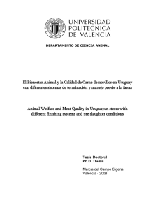 El Bienestar Animal y la Calidad de Carne de novillos en