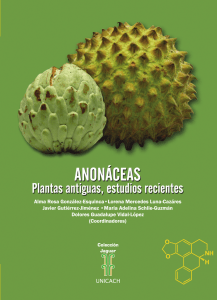 J Anonaceae plantas antiguas, estudios recientes