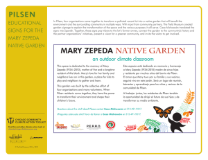 mary zepeda native garden - Chicago Community Climate Action