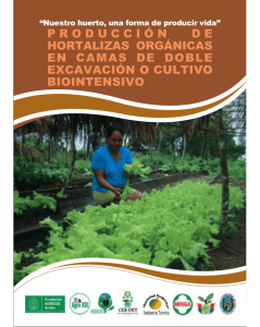 producción de hortalizas orgánicas en camas de doble excavación