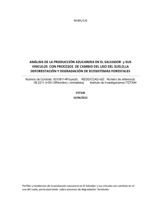 ANÁLISIS DE LA PRODUCCIÓN AZUCARERA - REDD/CCAD-GIZ