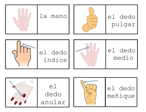 el dedo anular - The Spanish Class