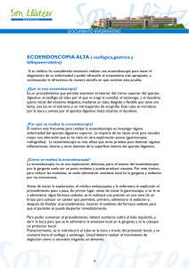 ECOENDOSCOPIA ALTA ( esofágica,gástrica y biliopancreática)