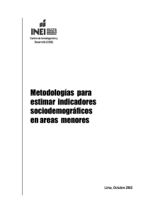 Metodologías para estimar indicadores sociodemográficos en