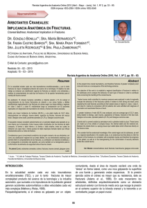 arbotantes craneales: implicancia anatómica en fracturas.