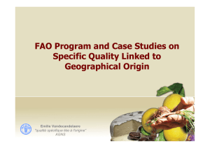 FAO Program and Case Studies on Specific Quality Linked to
