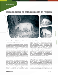 Puma en cultivo de palma de aceite de Poligrow