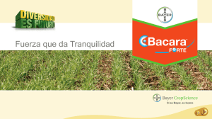 Bacara® Forte 360 SC - Bayer CropScience Chile