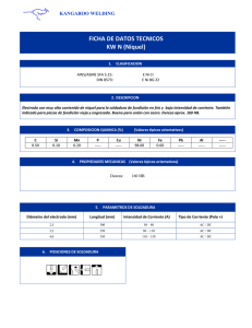 FICHA DE DATOS TECNICOS KW N (Níquel)