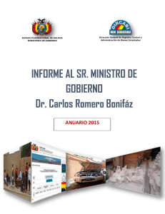 INFORME AL SR. MINISTRO DE GOBIERNO Dr. Carlos