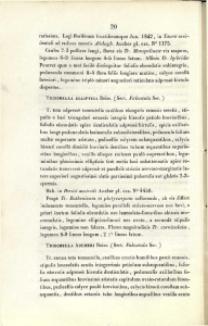 rarissima. Legi floriferam fructiferamque Jun. 1842, in Tauro occi