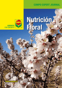 Nutrición Floral