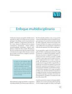PDF (Enfoque multidisciplinario)