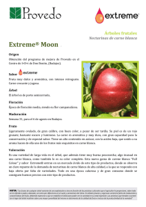 Extreme® Moon T
