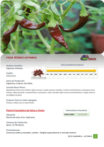 Aji Panca - Sierra Exportadora