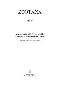 Zootaxa, An essay on the tribe Xylographellini