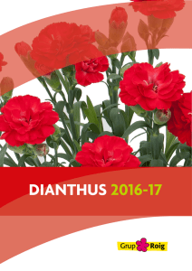 ¿Qué Dianthus necesitas?