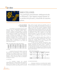 brucelosis - Revista Bioanalisis