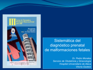 23 Sistematica del diagnostico prenatal de malformaciones fetales