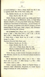 G. incurva (Schwgr.) — Brch. e. Schpr. Bryol. eur. III. t. 243. G