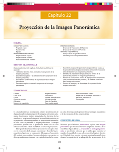 Proyección de la Imagen Panorámica