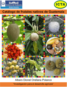 Catálogo de frutales nativos de Guatemala