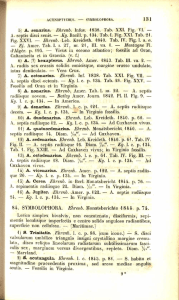IBI 5) A. senarius. Ehrenb. Infus. 1838. Tab. XXI. Fig. VI. — A. septis