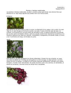 SKD Bio plantas y hierbas medicinales
