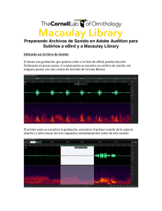Preparando Archivos de Sonido en Adobe Audition para