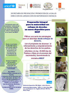 Presentacion-PIM