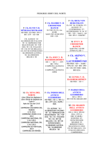 Pedigree de Jerry del Norte