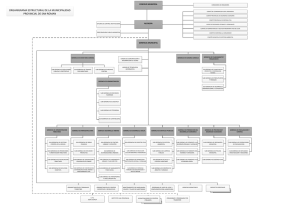 organigrama - municipalidad provincial de san roman