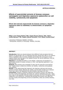 Effects of spermicidal extracts of Ananas comosus (pineapple) and