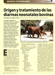 Origen y tratamiento de las diarreas neonatales bovinas.