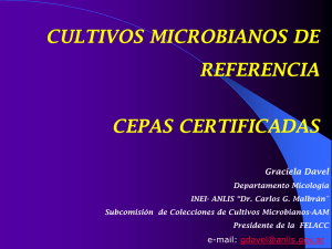 cultivos microbianos de referencia cepas certificadas