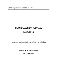 PLAN DE ACCION JUDICIAL 2013-2014