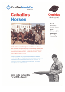 Caballos 001.jpg