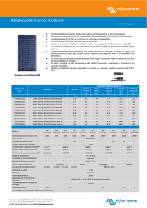 BlueSolar Polycrystalline Panels
