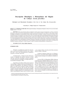 Descripción Histológica e Histoquímica del Hígado de Cobayo