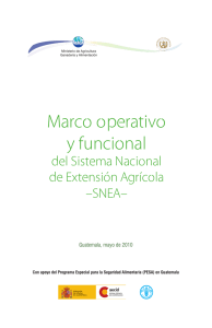 Marco operativo y funcional del SNEA